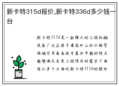 新卡特315d报价,新卡特336d多少钱一台
